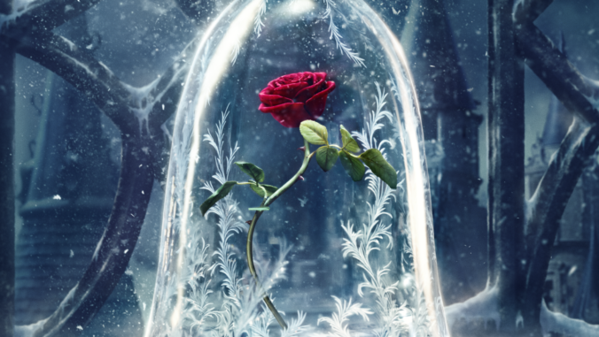 Beauty and the Beast rose