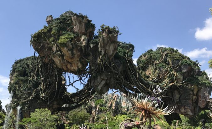 pandora